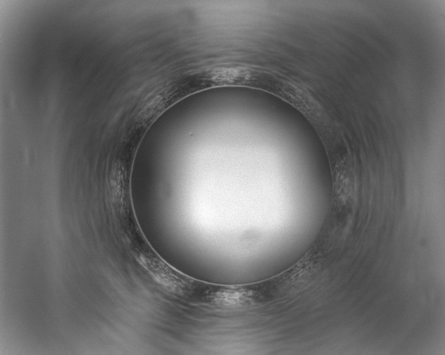X0000060270375200510281238