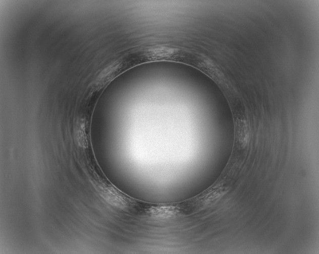 X0000060270378200510281238
