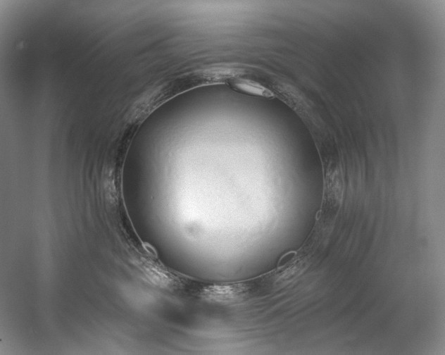 X0000060270381200510281238