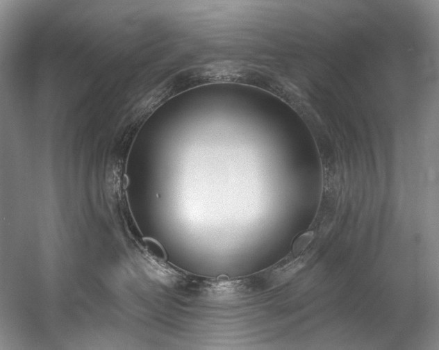 X0000060270382200510281238