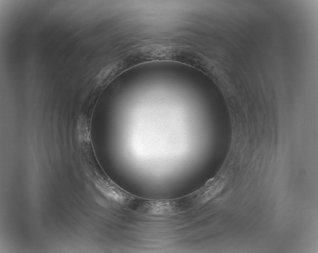 X0000060270384200510281238