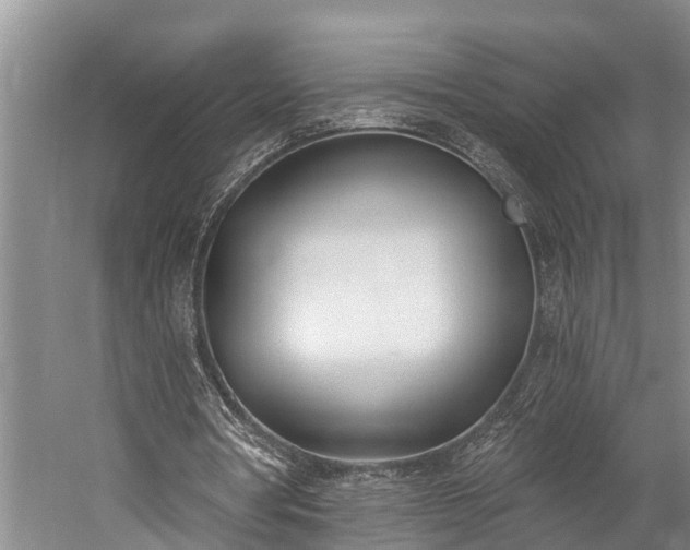 X0000060270386200510281237