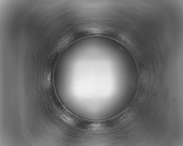 X0000060270406200510281237