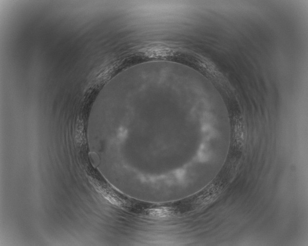 X0000060270411200510281237