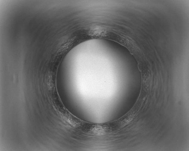 X0000060270416200510281237