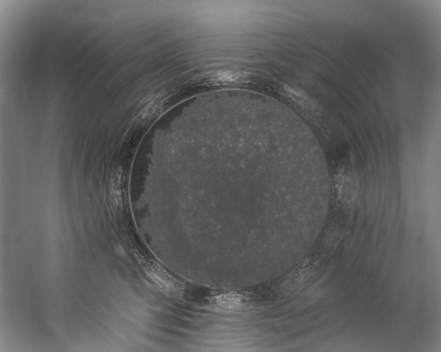 X0000060270423200510281236