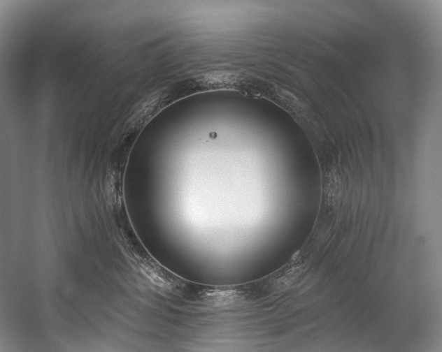 X0000060270428200510281236