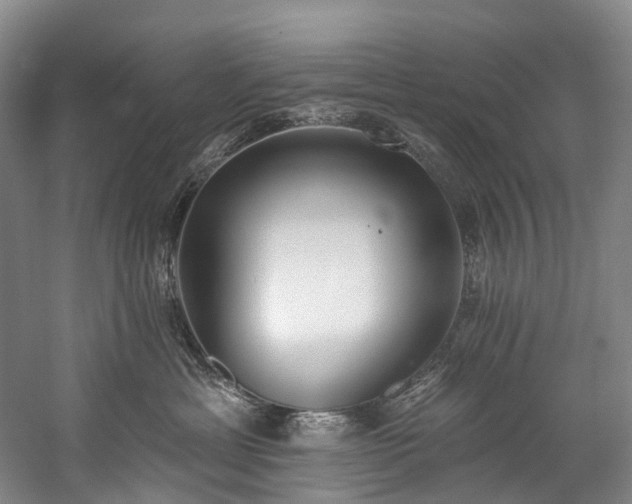 X0000060270429200510281236