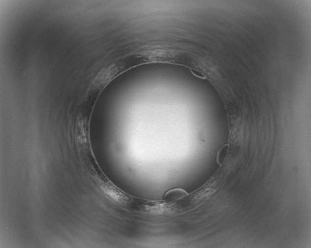 X0000060270430200510281236