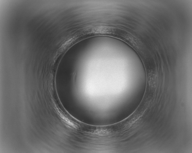 X0000060270445200510281236