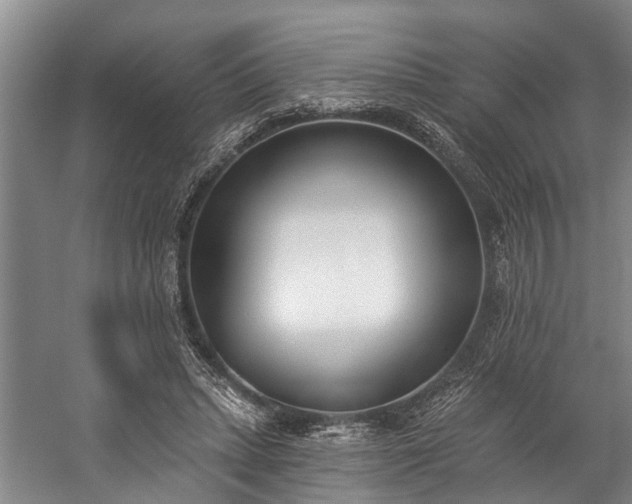 X0000060270447200510281236