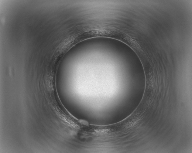 X0000060270450200510281236