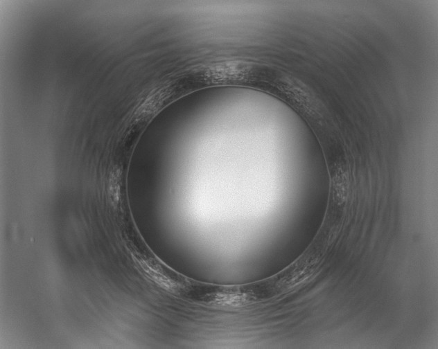 X0000060270458200510281236