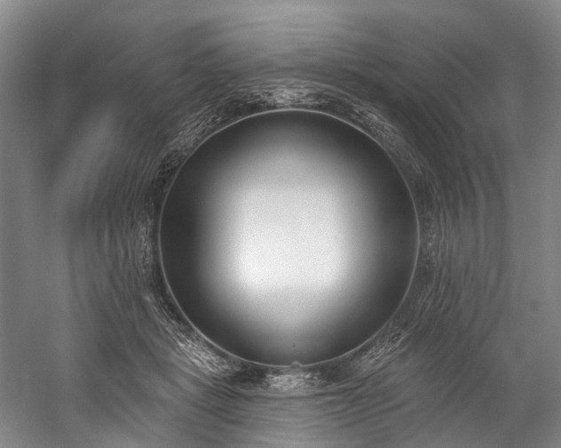 X0000060270461200510281236