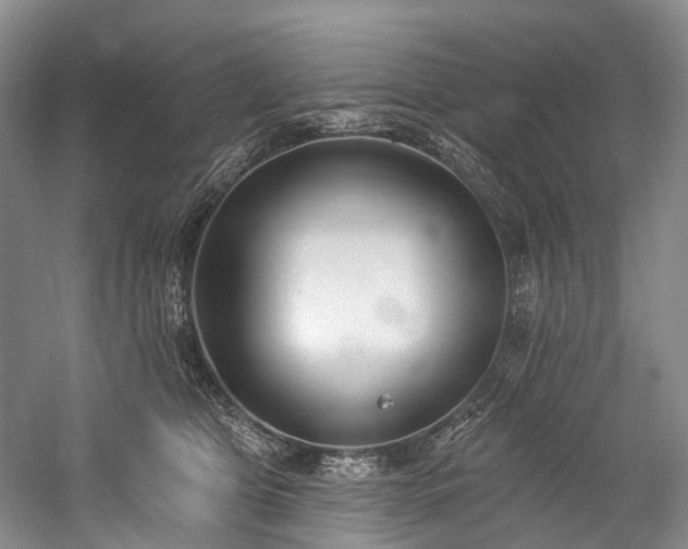 X0000060270469200510281236