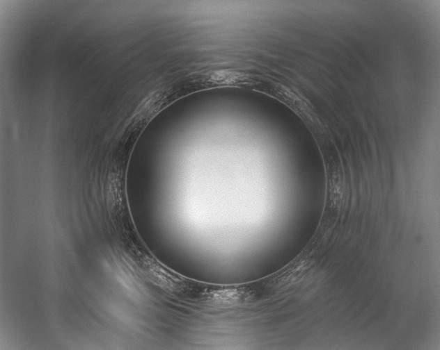 X0000060270473200510281236