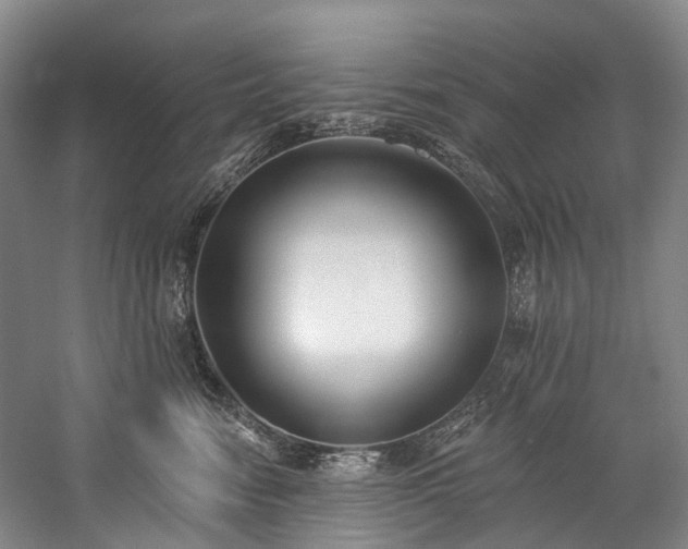 X0000060270474200510281236