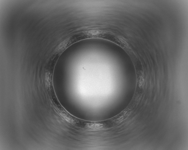 X0000060270476200510281236
