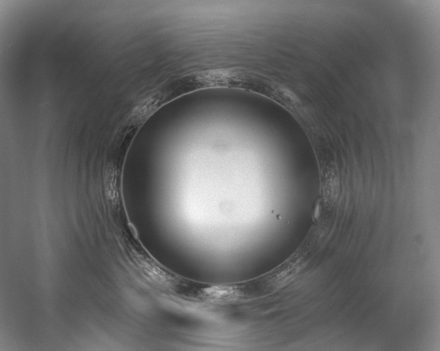 X0000060270477200510281236