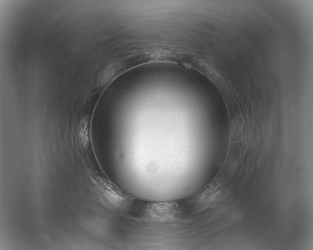 X0000060270479200510281236