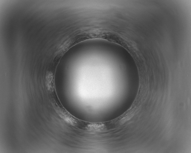 X0000060270480200510281236