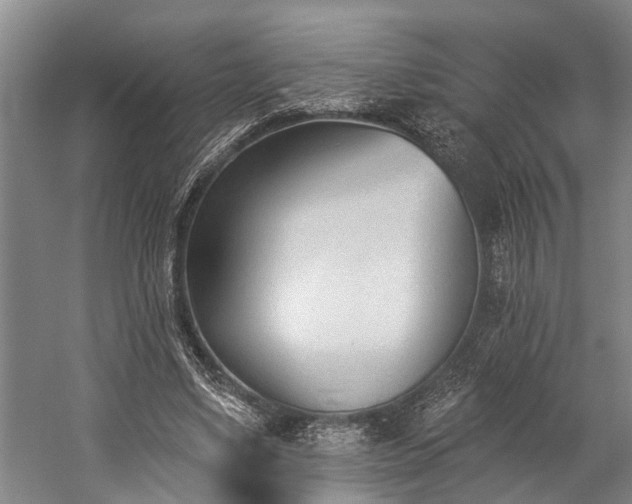 X0000060270491200510281235