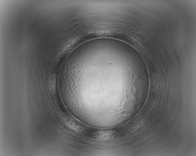 X0000060270495200510281235