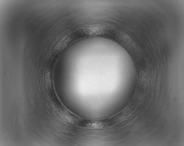 X0000060270506200510281235