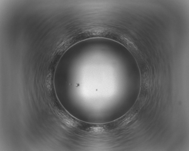 X0000060270509200510281235
