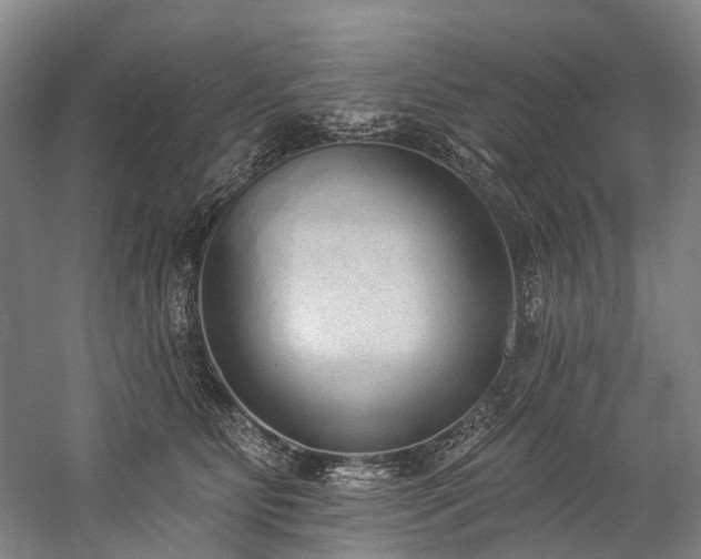 X0000060270515200510281235