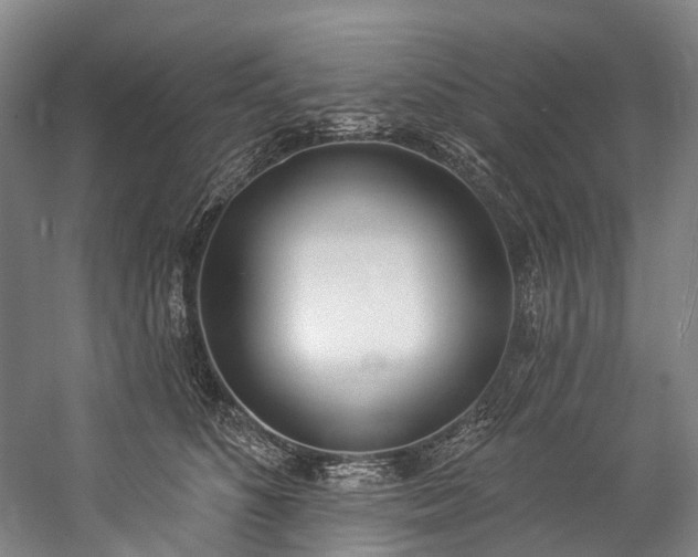 X0000060270516200510281235