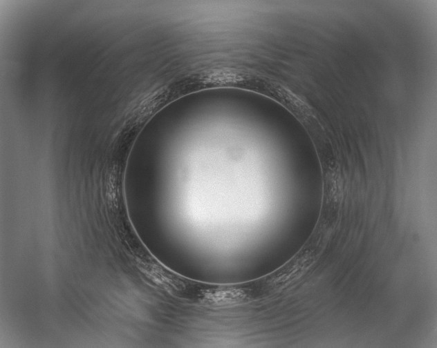 X0000060270517200510281235