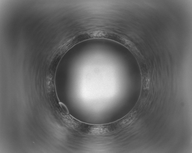 X0000060270521200510281235