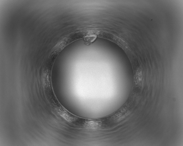 X0000060270522200510281235