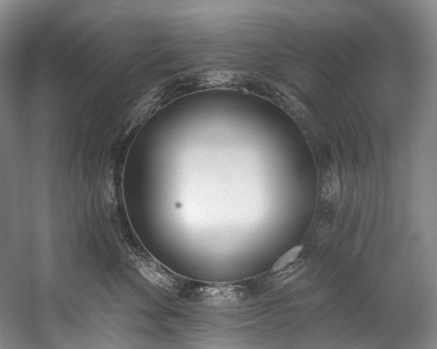 X0000060270524200510281235