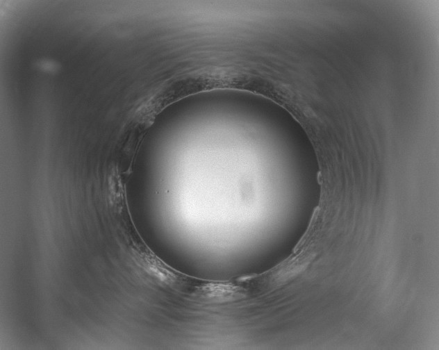 X0000060270528200510281235