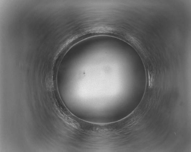 X0000060270531200510281234