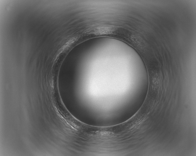 X0000060270539200510281234