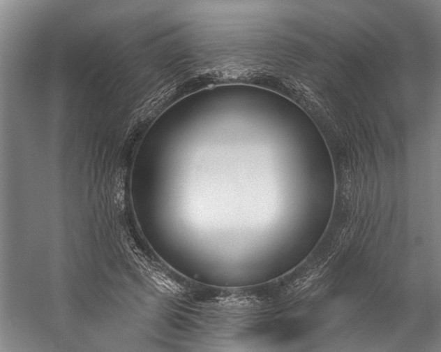 X0000060270545200510281234