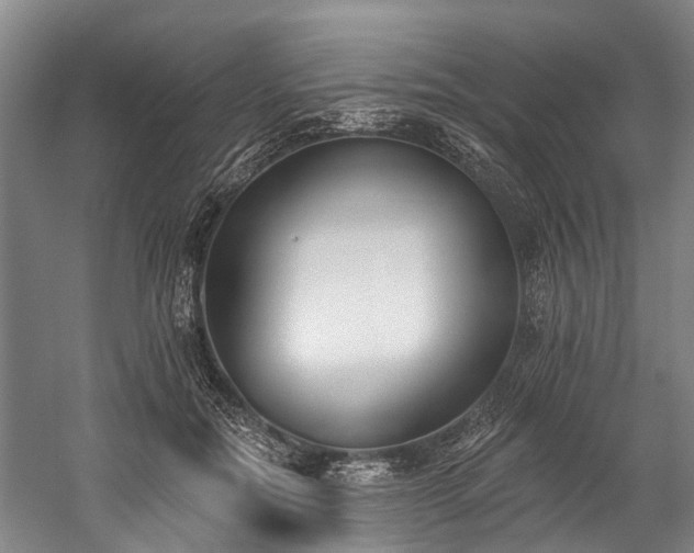 X0000060270554200510281234
