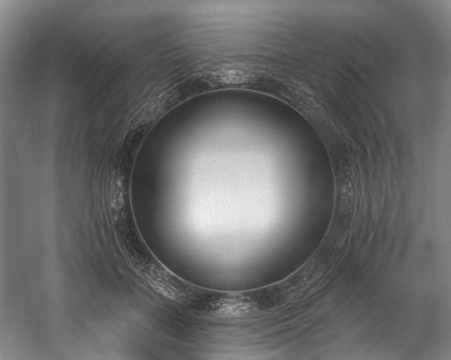 X0000060270555200510281234
