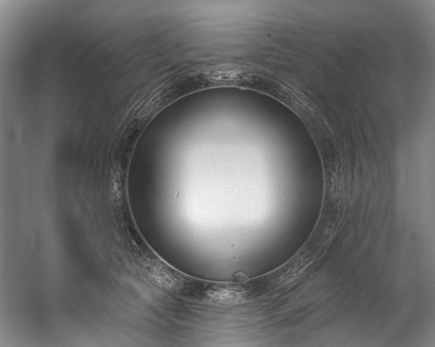 X0000060270561200510281234