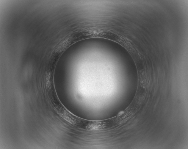 X0000060270563200510281234