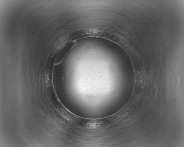 X0000060270564200510281234