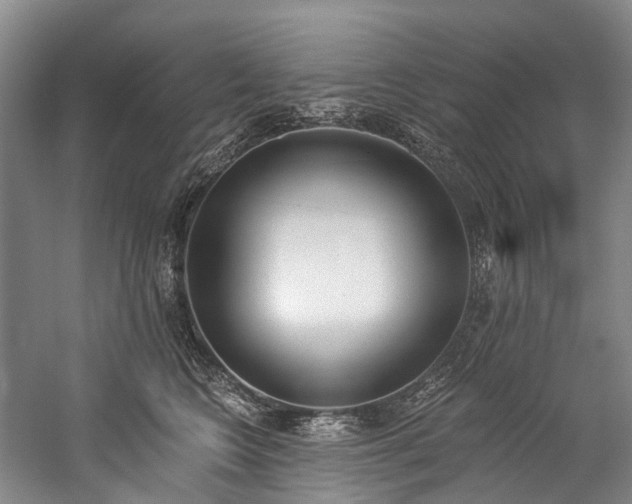 X0000060270566200510281235
