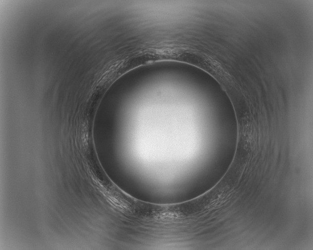 X0000060270593200510281234