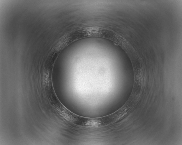 X0000060270610200510281233