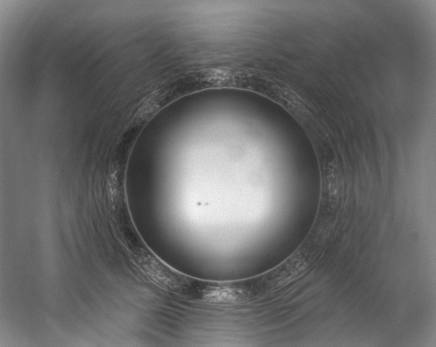 X0000060270611200510281233
