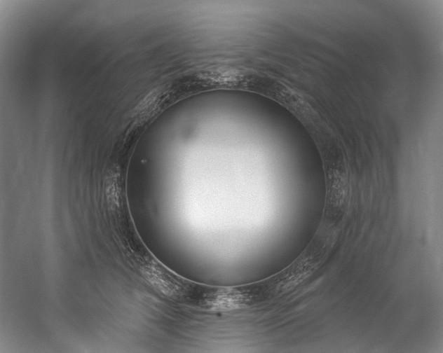 X0000060270612200510281233