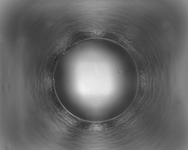 X0000060270613200510281233
